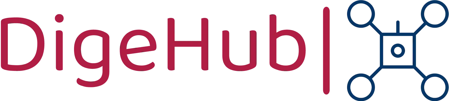 DigeHub Logo
