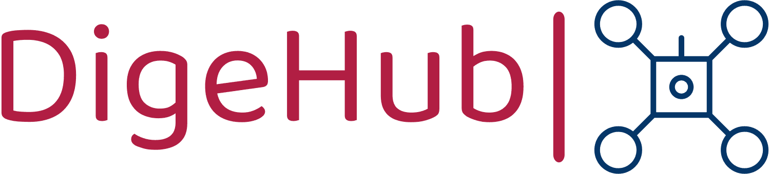 DigeHub Logo